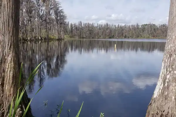 Lutz Fl. Shutterstock 1034051737 (1)