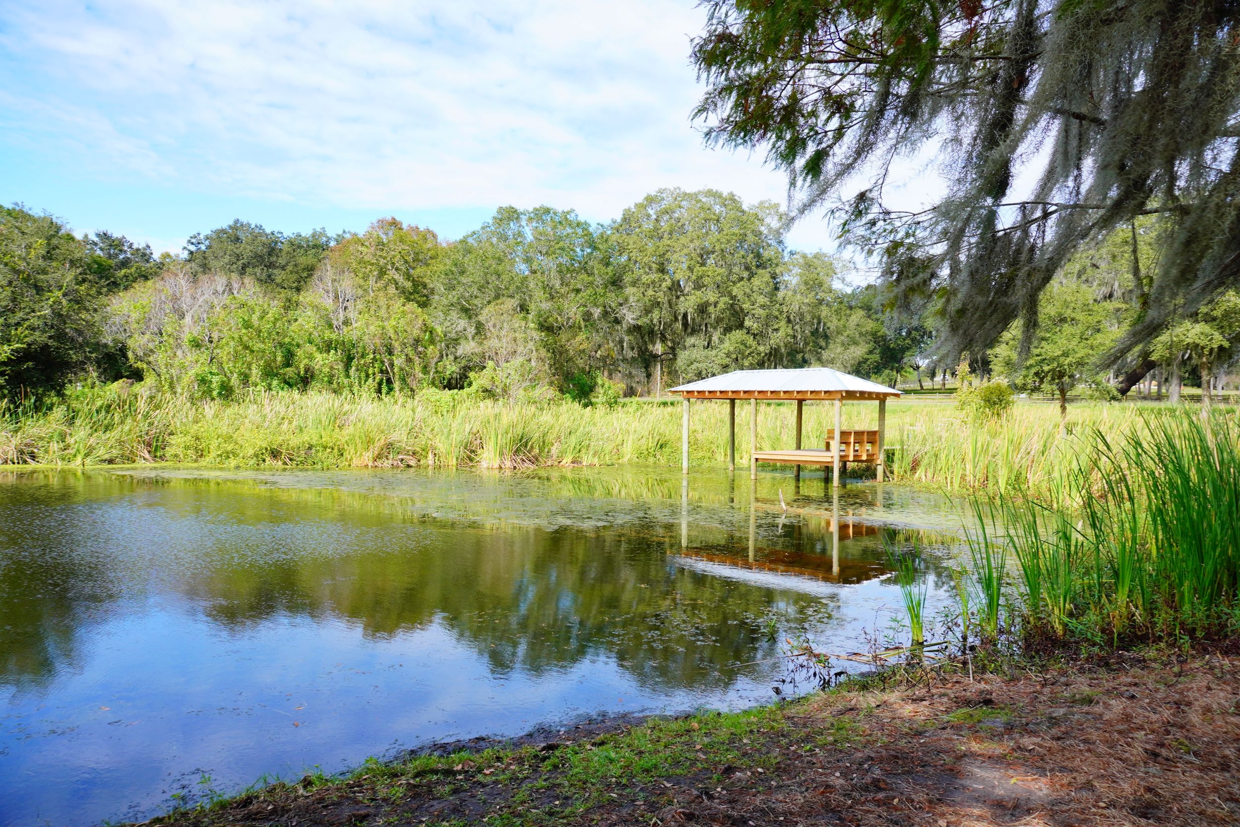 Wesley Chapel Shutterstock 2401252723