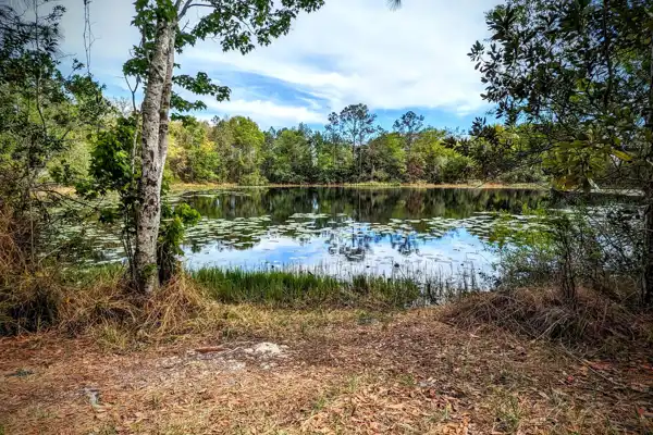 Land O' Lakes Shutterstock 2436402961 (1)