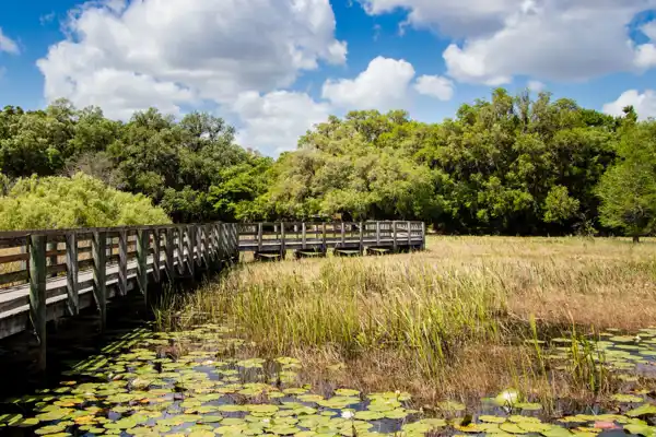 Spring Hill FL. Shutterstock 1354156730 (1)